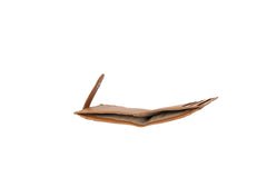 A540 - Small Leather c/c wallet